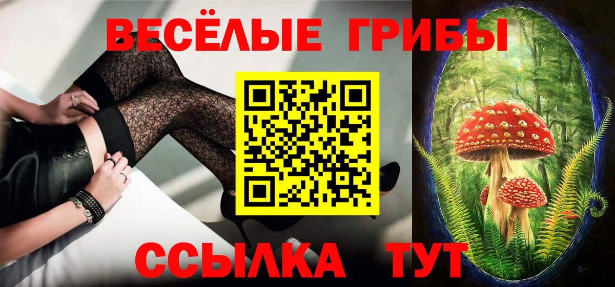 Псилоцибиновые грибы Cubensis  где найти   Заводоуковск  Вход с VPN 