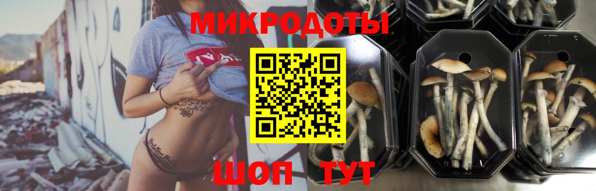 Псилоцибиновые грибы прущие грибы Заводоуковск